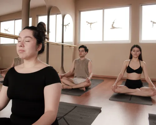 CLASE TRIO SEMIPRIVADA